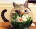 kočka s rybou